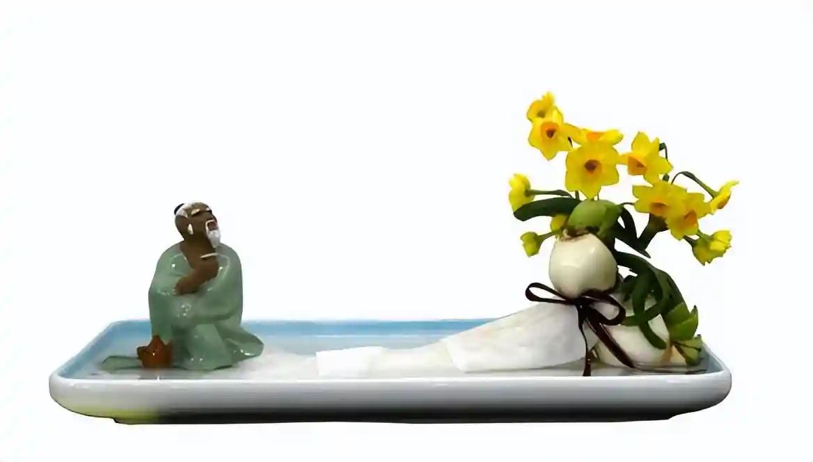 水仙、洋水仙，最大的区别是这点