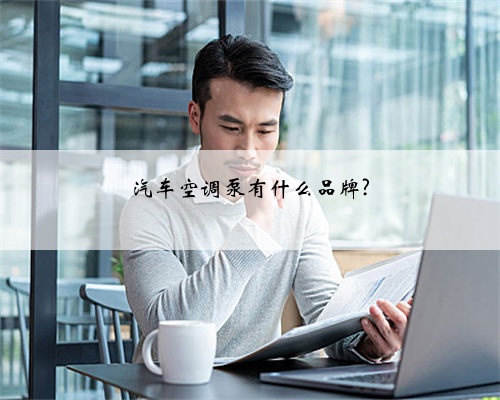 汽车空调泵有什么品牌?