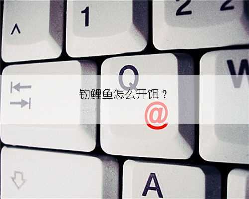 钓鲤鱼怎么开饵?