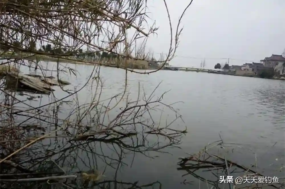 春天野钓黄颡鱼，学会3个核心技巧，每次出门都不走空