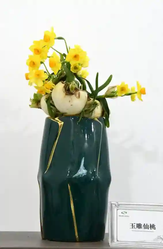 水仙、洋水仙，最大的区别是这点
