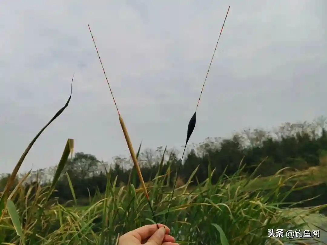 调漂之前先选漂,浮漂没选对,难怪怎么都调不好!