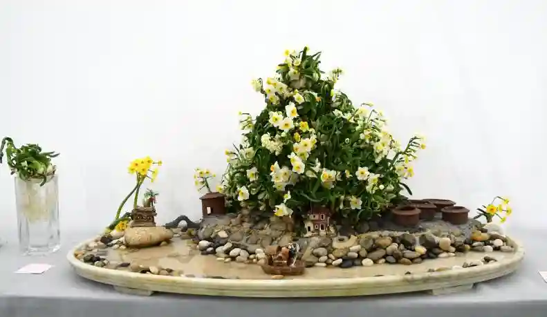 水仙、洋水仙，最大的区别是这点