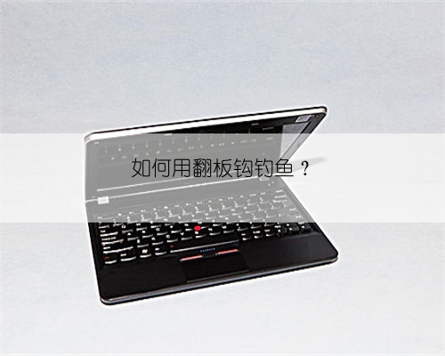 如何用翻板钩钓鱼？