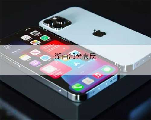 湖南部分袁氏