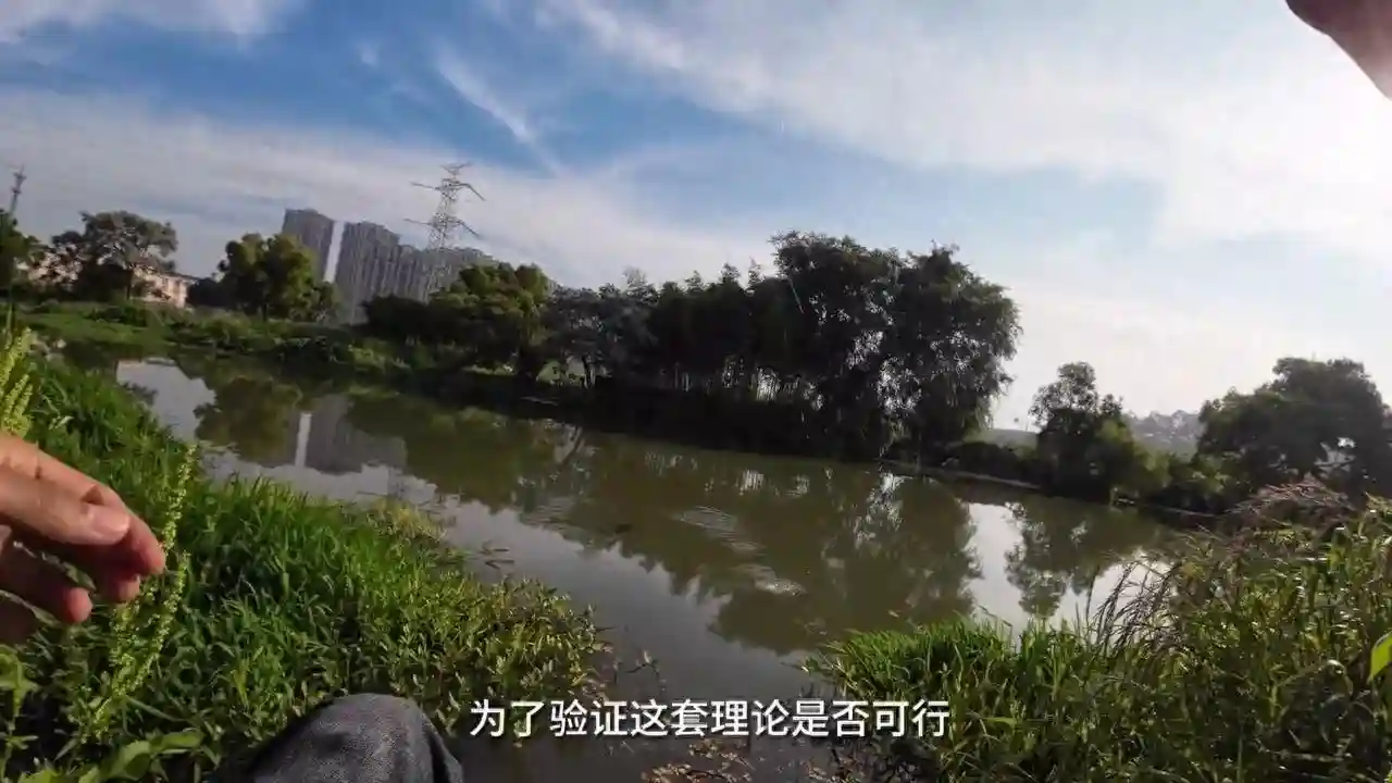 花了三天时间，我在东钱湖河道探钓了两条鱼