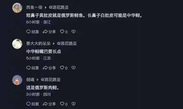 浙江男子钓上中华鲟,同行女子拍视频发网上,网友:当心牢底坐穿