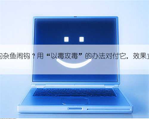 秋季野钓杂鱼闹钩?用“以毒攻毒”的办法对付它,效果立竿见影