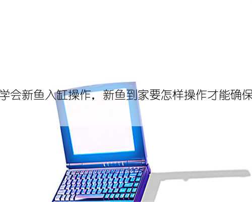 三分钟学会新鱼入缸操作,新鱼到家要怎样操作才能确保鱼没事