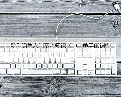 新手钓鱼入门基本知识（1）:鱼竿的调性