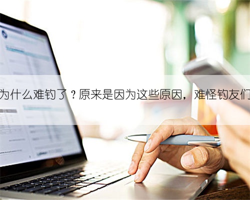 当下鱼为什么难钓了？原来是因为这些原因，难怪钓友们会感慨