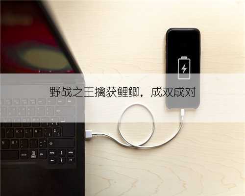 野战之王擒获鲤鲫,成双成对