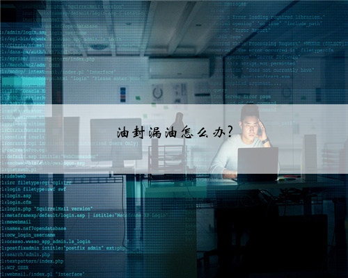 油封漏油怎么办?