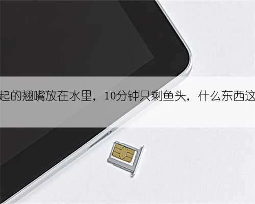 钓友:钓起的翘嘴放在水里,10分钟只剩鱼头,什么东西这么凶猛?