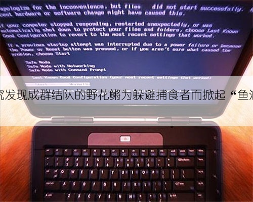 研究发现成群结队的野花鳉为躲避捕食者而掀起“鱼浪”