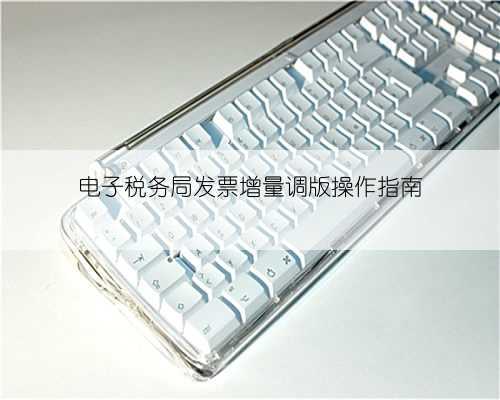 电子税务局发票增量调版操作指南