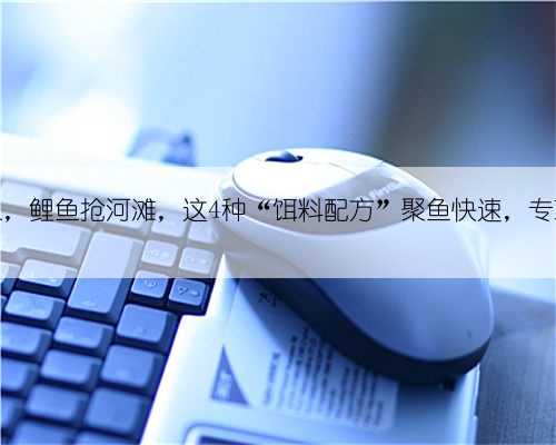 三月三,鲤鱼抢河滩,这4种“饵料配方”聚鱼快速,专攻大货