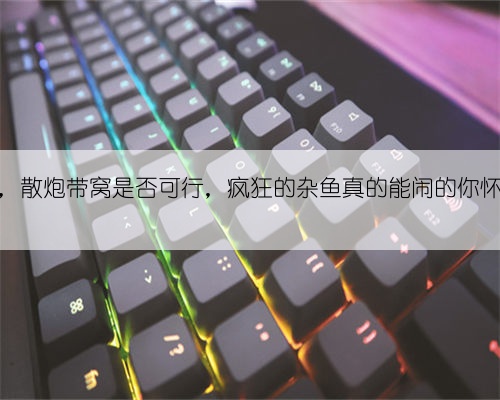 野外钓鱼，散炮带窝是否可行，疯狂的杂鱼真的能闹的你怀疑人生？