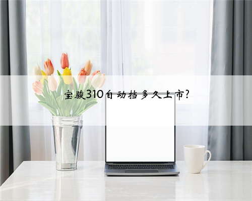宝骏310自动挡多久上市?