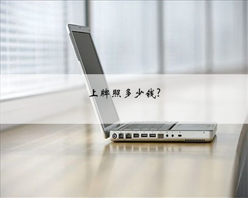 上牌照多少钱?