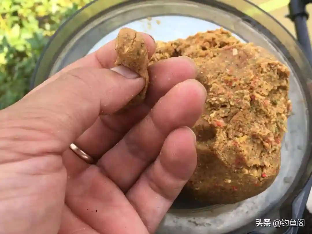 用菜籽饼做基础饵,好用又省钱,这样开出的饵专钓大鲫大鲤