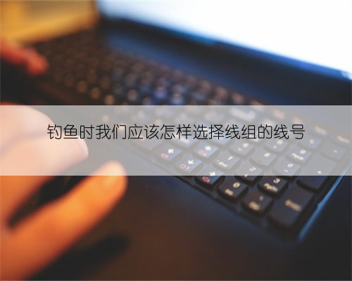 钓鱼时我们应该怎样选择线组的线号