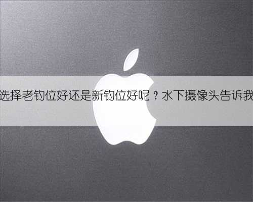 冬天钓鱼选择老钓位好还是新钓位好呢？水下摄像头告诉我们真相。