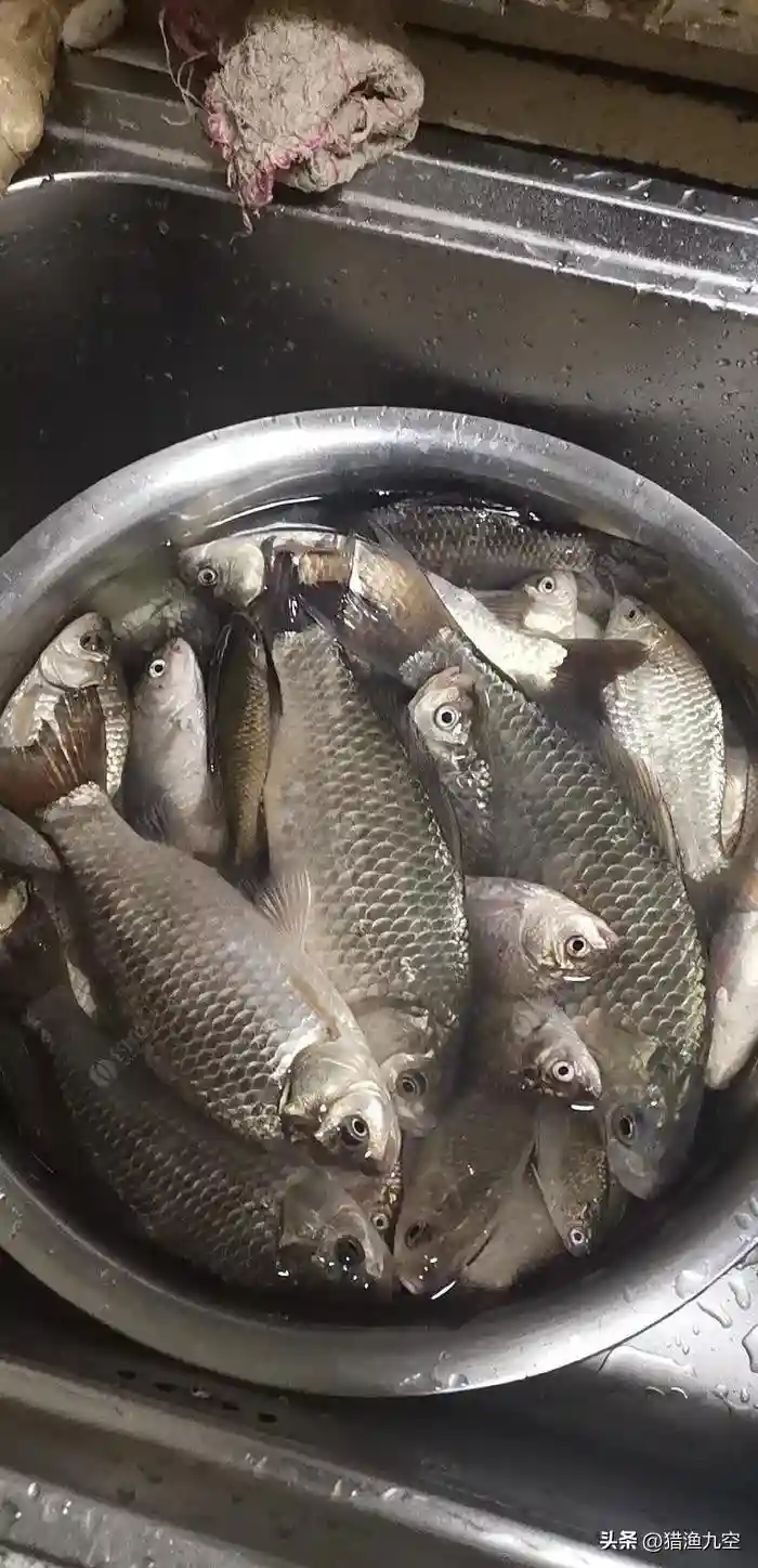 冬天钓鱼选择老钓位好还是新钓位好呢？水下摄像头告诉我们真相。