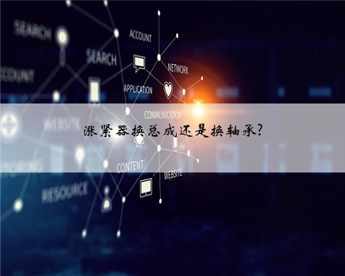 涨紧器换总成还是换轴承?