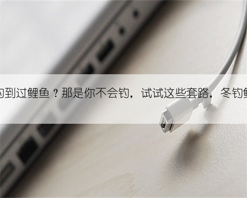 冬天没钓到过鲤鱼？那是你不会钓，试试这些套路，冬钓鲤鱼不难