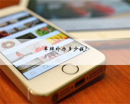车牌补办多少钱?
