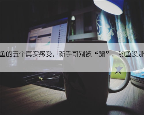 关于钓鱼的五个真实感受，新手可别被“骗”，钓鱼没那么好玩