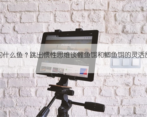 什么饵钓什么鱼？跳出惯性思维谈鲤鱼饵和鲫鱼饵的灵活反转利用
