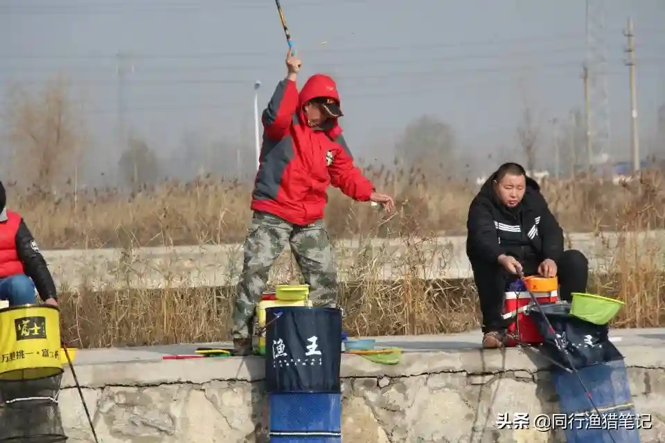什么饵钓什么鱼？跳出惯性思维谈鲤鱼饵和鲫鱼饵的灵活反转利用