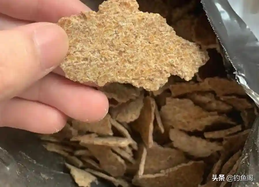 小杂鱼太闹腾?一款“土饵”帮你解决难题,效果比商品饵更好