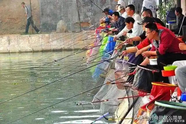 垂钓黑坑老塘，如何应对底部酱层厚，有鱼星没鱼口的应对方法
