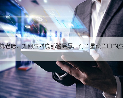 垂钓黑坑老塘，如何应对底部酱层厚，有鱼星没鱼口的应对方法