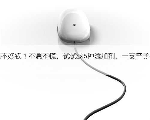 秋天的鱼不好钓?不急不慌,试试这5种添加剂,一支竿子钓不过来