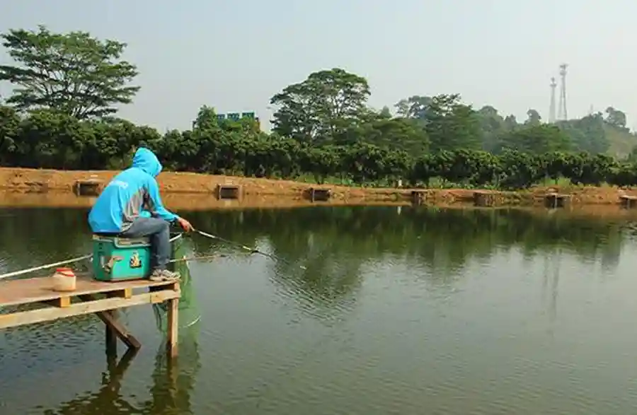钓不好鱼就怪它,一种水底状态说法“酱层”它存在吗?