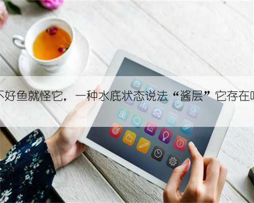 钓不好鱼就怪它,一种水底状态说法“酱层”它存在吗?