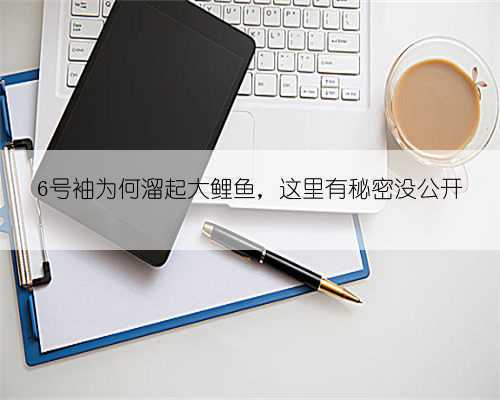 6号袖为何溜起大鲤鱼,这里有秘密没公开