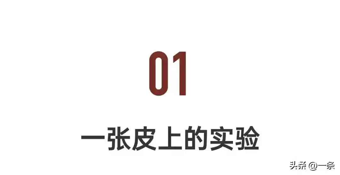 一张皮他玩了26年:我享受被包裹又挣脱的感觉