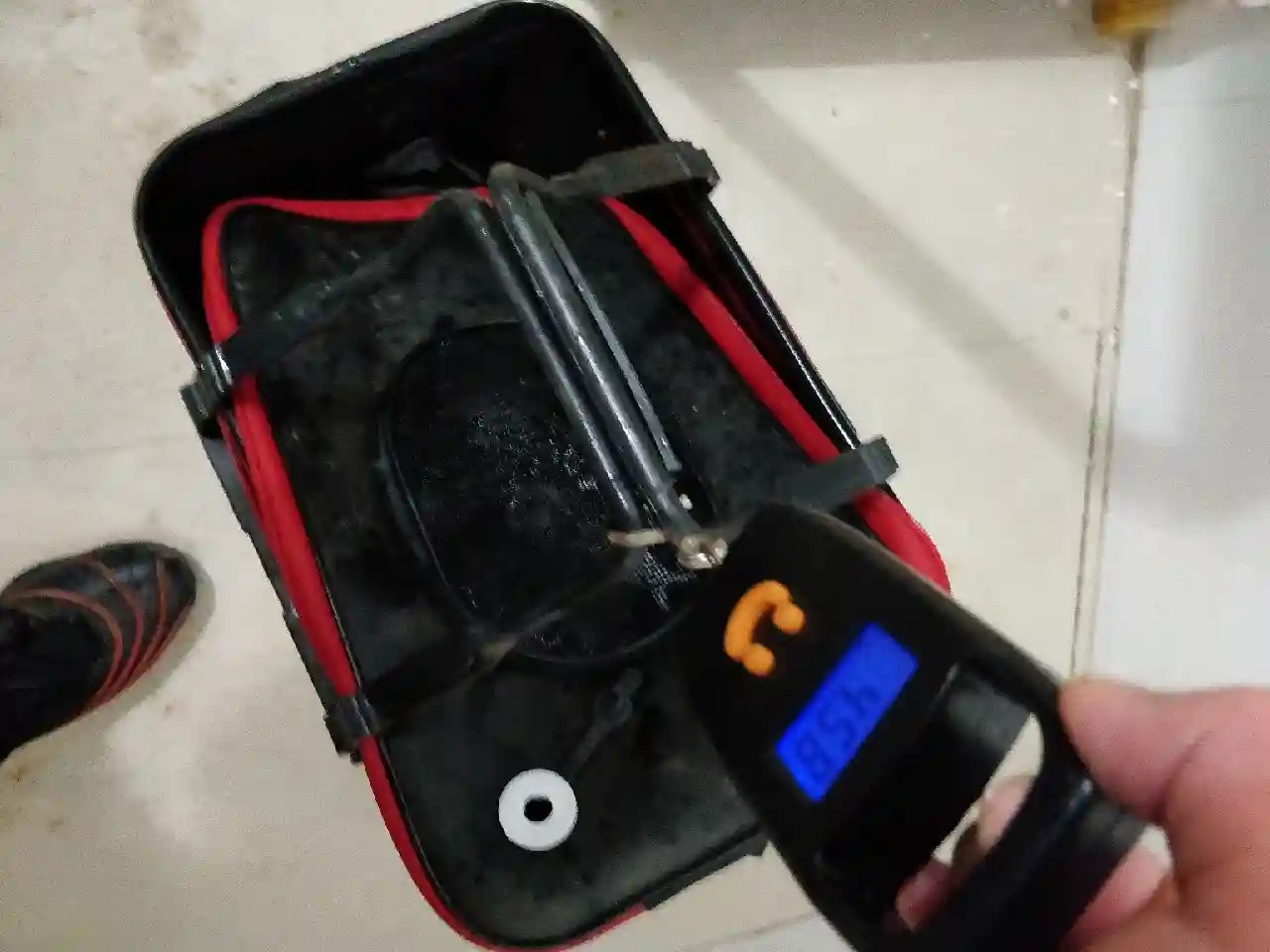 6号袖为何溜起大鲤鱼,这里有秘密没公开