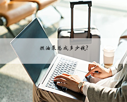 燃油泵总成多少钱?