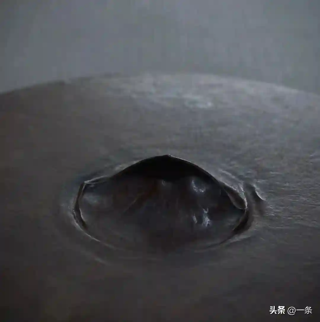 一张皮他玩了26年:我享受被包裹又挣脱的感觉