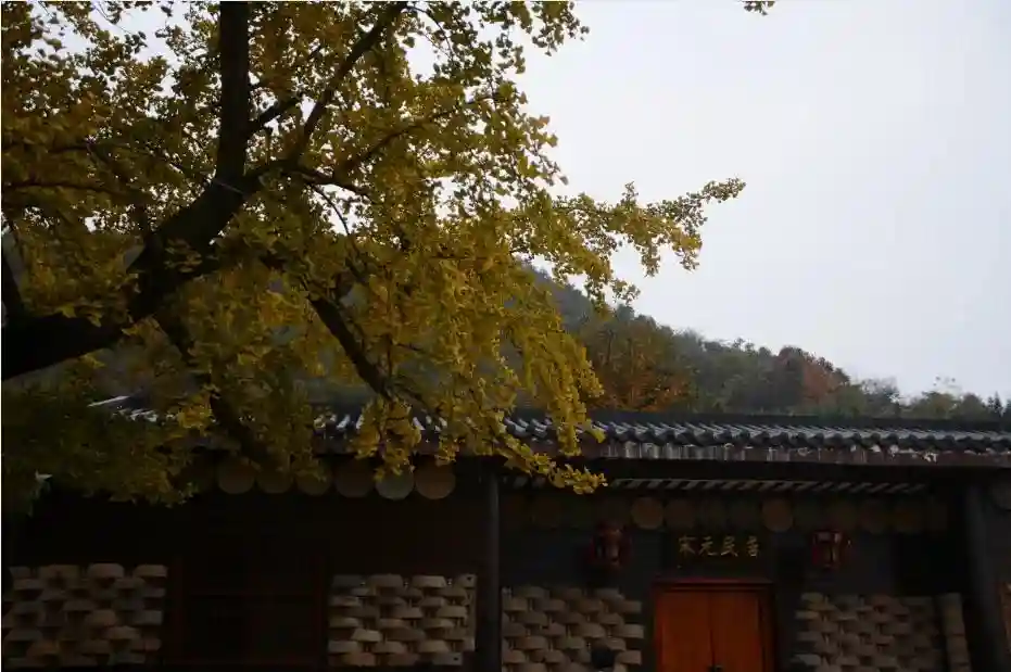 每日好诗词|茅山静谧月垂钩,独踏林蹊意未休