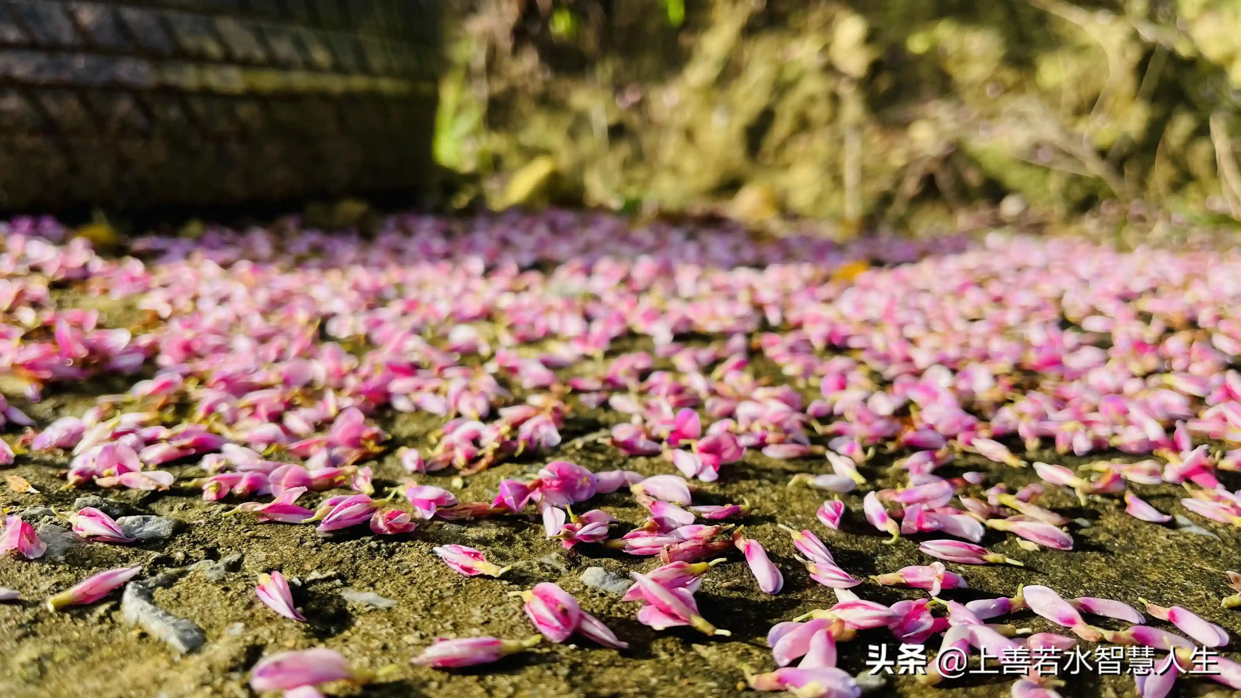 福州湖顶山越野30公里:最美的风景在路上,眼在天堂,心在地狱