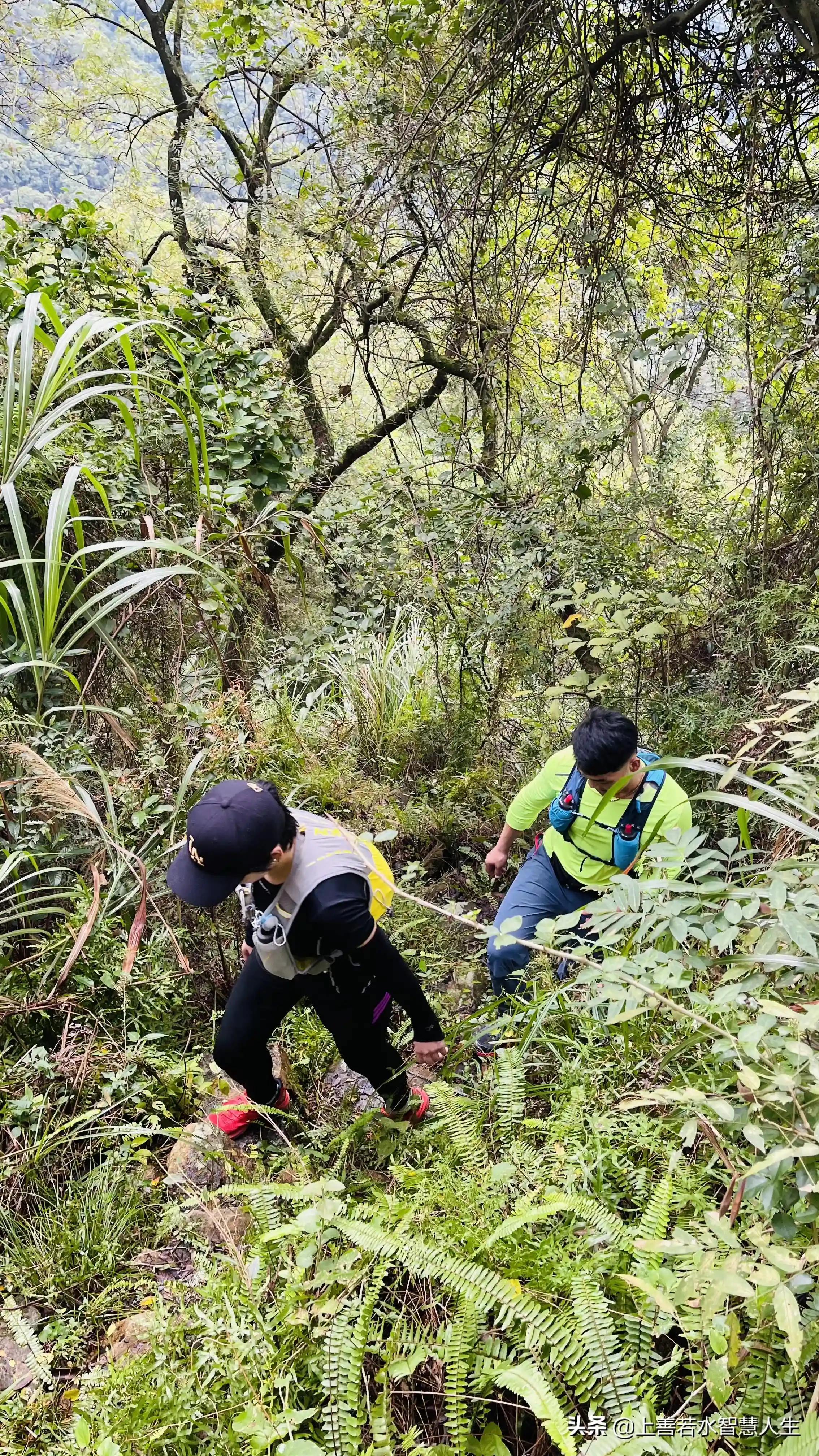 福州湖顶山越野30公里:最美的风景在路上,眼在天堂,心在地狱
