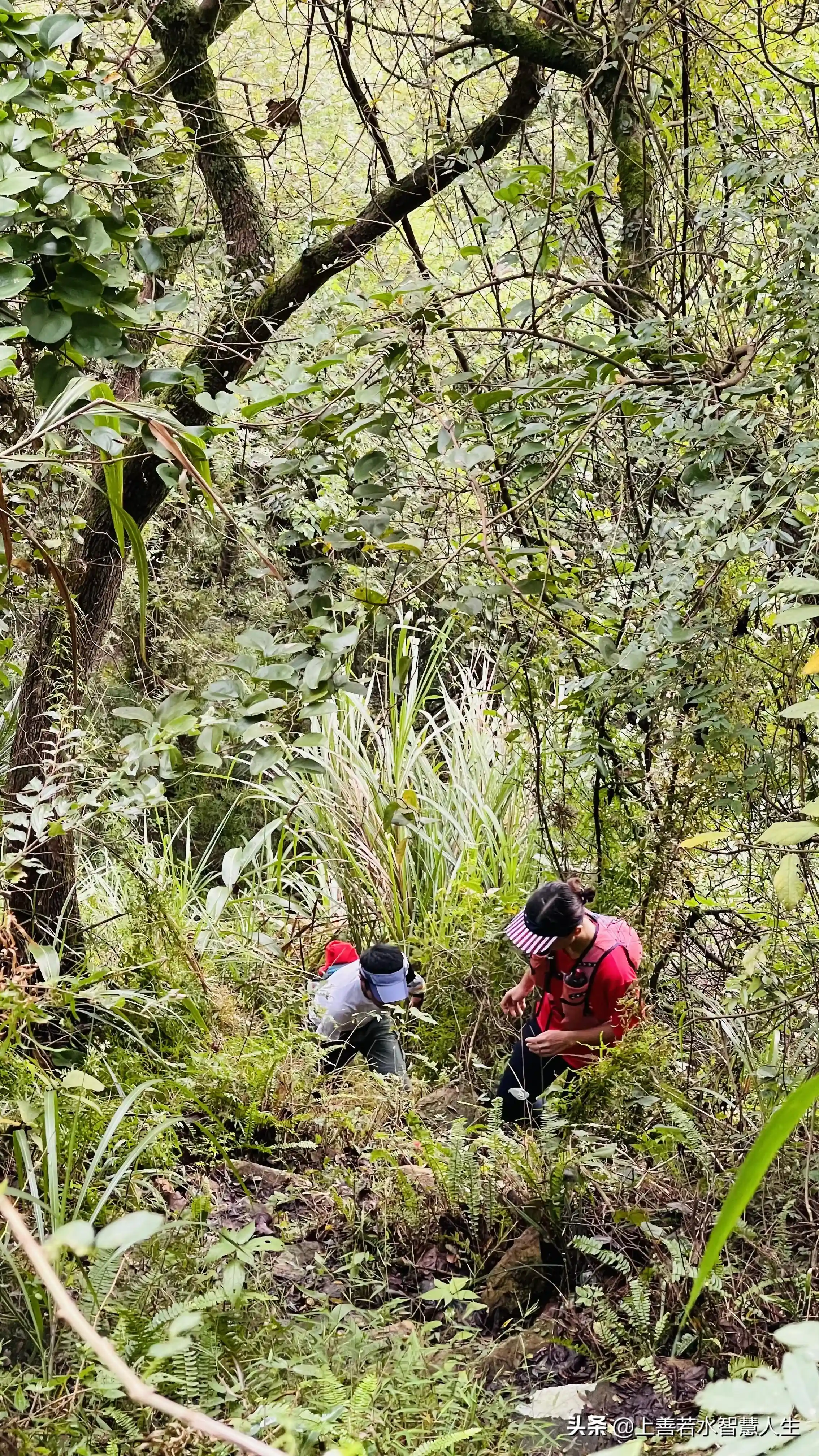 福州湖顶山越野30公里:最美的风景在路上,眼在天堂,心在地狱