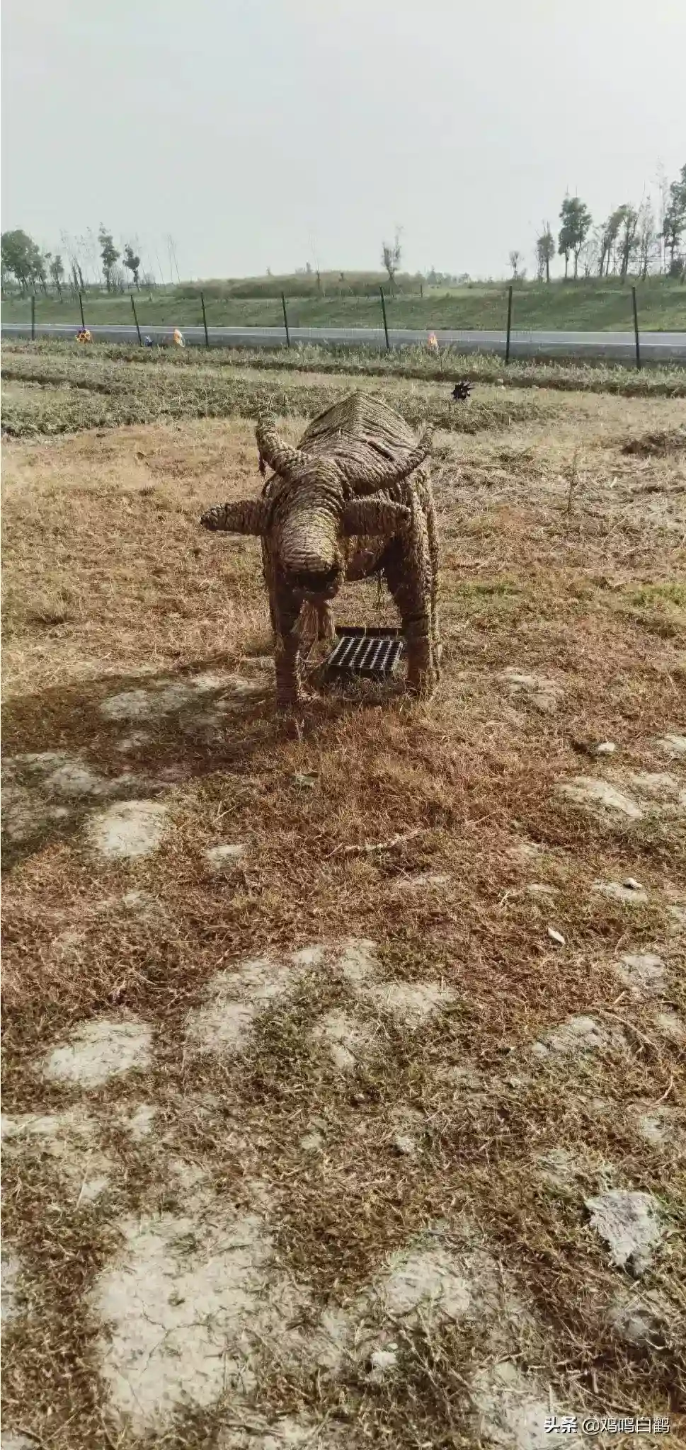 蓑衣鱼篓 孤舟垂钩